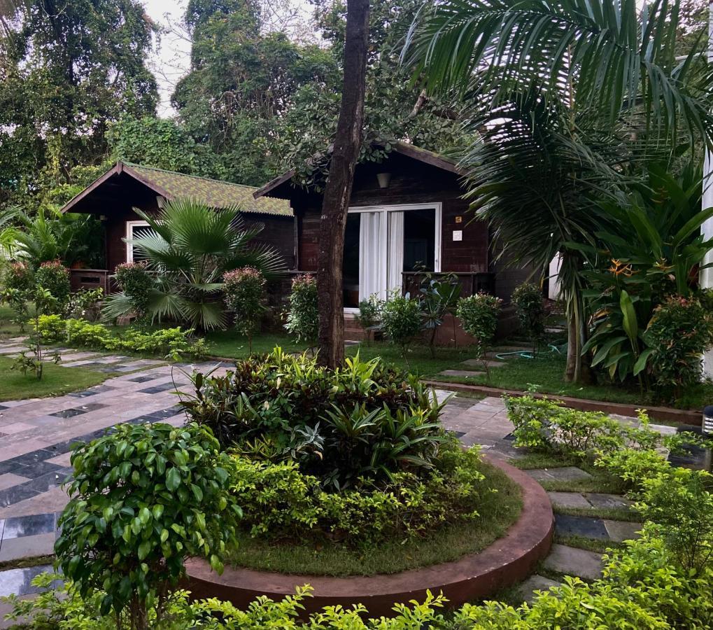 Jp Resort Arambol Esterno foto